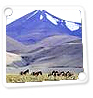 Ladakh Tour