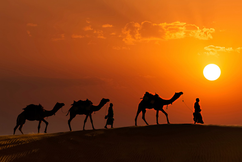 Rajasthan Tour